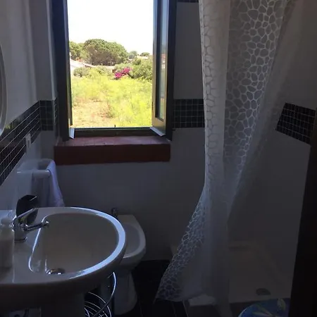 Apartment Olmi